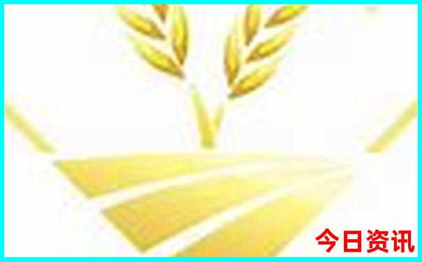 黑毛沟大峡谷旅游攻略